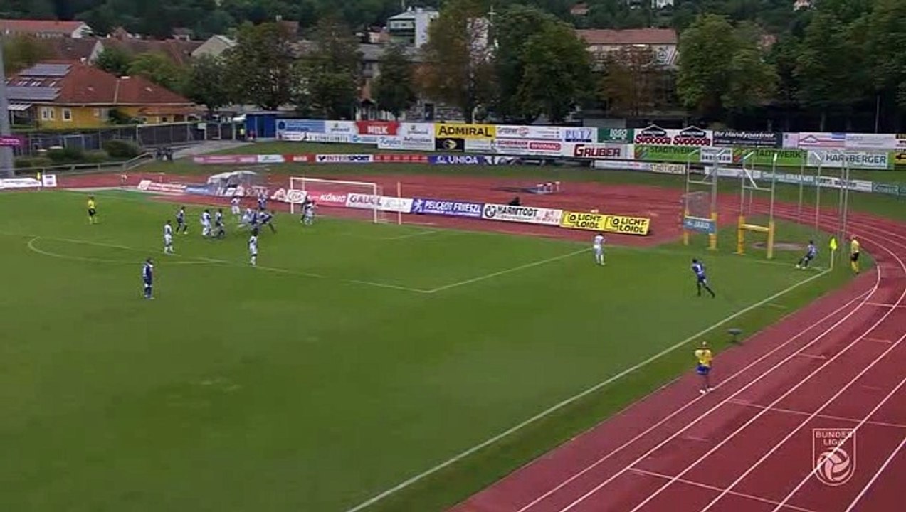 Manfred Fischer  Goal HD - Hartberg	1-0	FAC Wien 28.07.2017