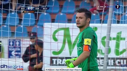 Patrick-Mihai Petre GOAL HD - FC Botosani 4-1 Sepsi 28.07.2017