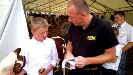 Foire de Libramont : les veaux de la race Montbéliard ont été montrés à la foule par une dizaine d'enfants
