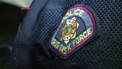 TRUMP SEÑALA PROGRESO EN LUCHA CONTRA PANDILLAS