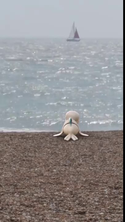 Hungry Shark World - Snuffy attack! -Dailymotion