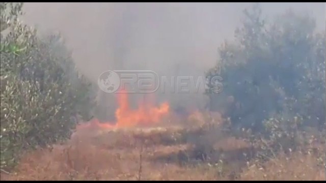 Ora News – Zjarr i fuqishëm në Mallakastër, rrezikohen edhe banesat