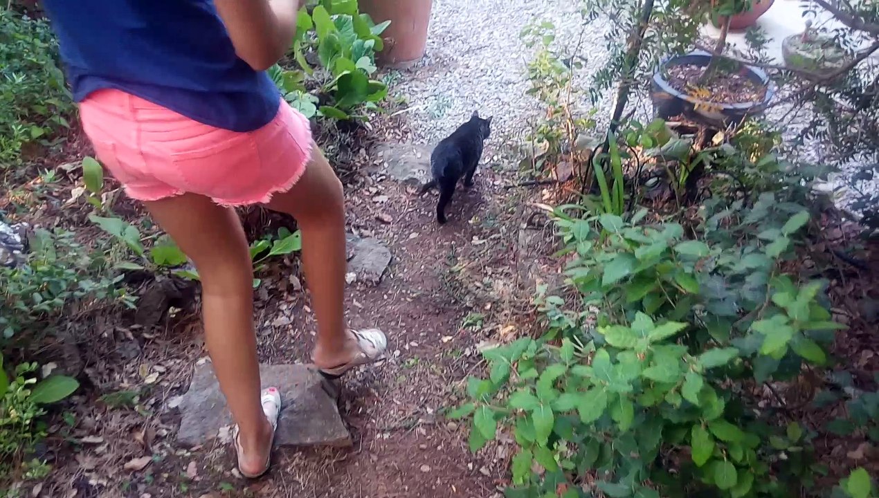 Scratch