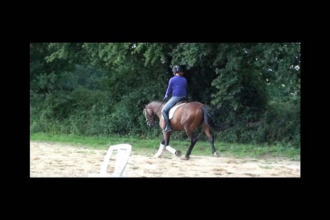 Genie1
