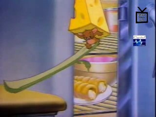 পনির চুরি ১ | টম অ্যান্ড জেরি বাংলা | Tom and jerry Bangla Dubbin