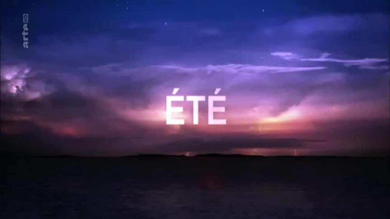 La vie sur le récif - Été