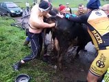 Un groupe de cyclistes voit une vache en difficulté, ils déposent leur vélo et courent vers elle pour lui venir en aide