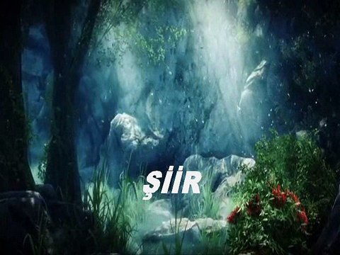 SEVDA AYTAN-NERDESİN-SESLENDİREN HAVA KÖSEOĞLU-KLİP AYNUR AVCI