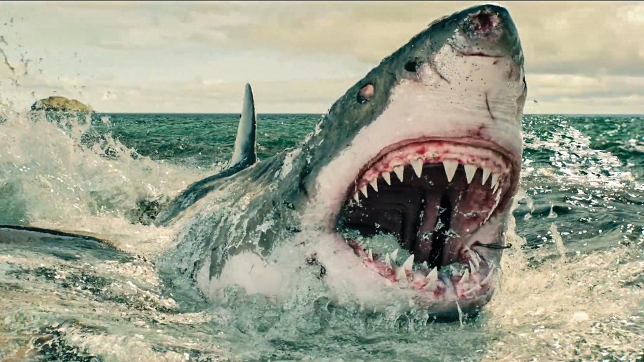 Top 10 Most Horrific Shark Attacks That Actuall...