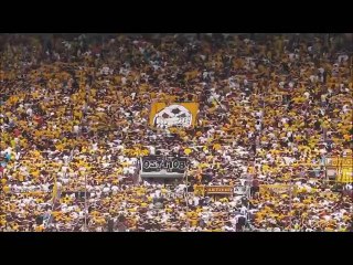 Ultras Dynamo Dresden