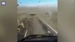 Dashcam captures terrifying swarm of locusts descending on driver
