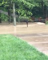 Heavy Rains Cause Flash Flooding in Parts of Kentucky