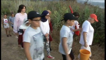 Protecting sea turtles in Lebanon