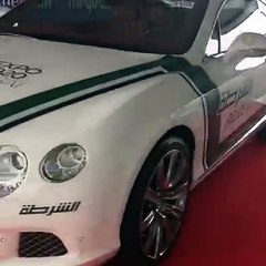 Dubai police fabulous cars in exhibition