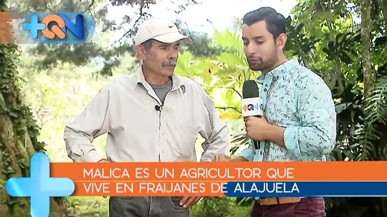 +QN 28 Julio 2017