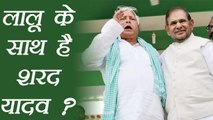 Nitish VS Lalu : Lalu Yadav Claims Sharad Yadav is in his support । वनइंडिया हिंदी