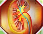 किडनी रोग की ऐसी दवा, जिससे हजारो लोग बिलकुल ठीक हो चुके है _ Kidney Disease Treatment