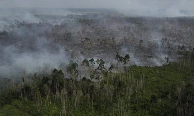 Petugas Tanggapi Serius Pembakaran Lahan di Ogan Ilir