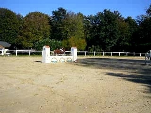 CONCOURS FAUVETTES 21-10-2007 LOLA