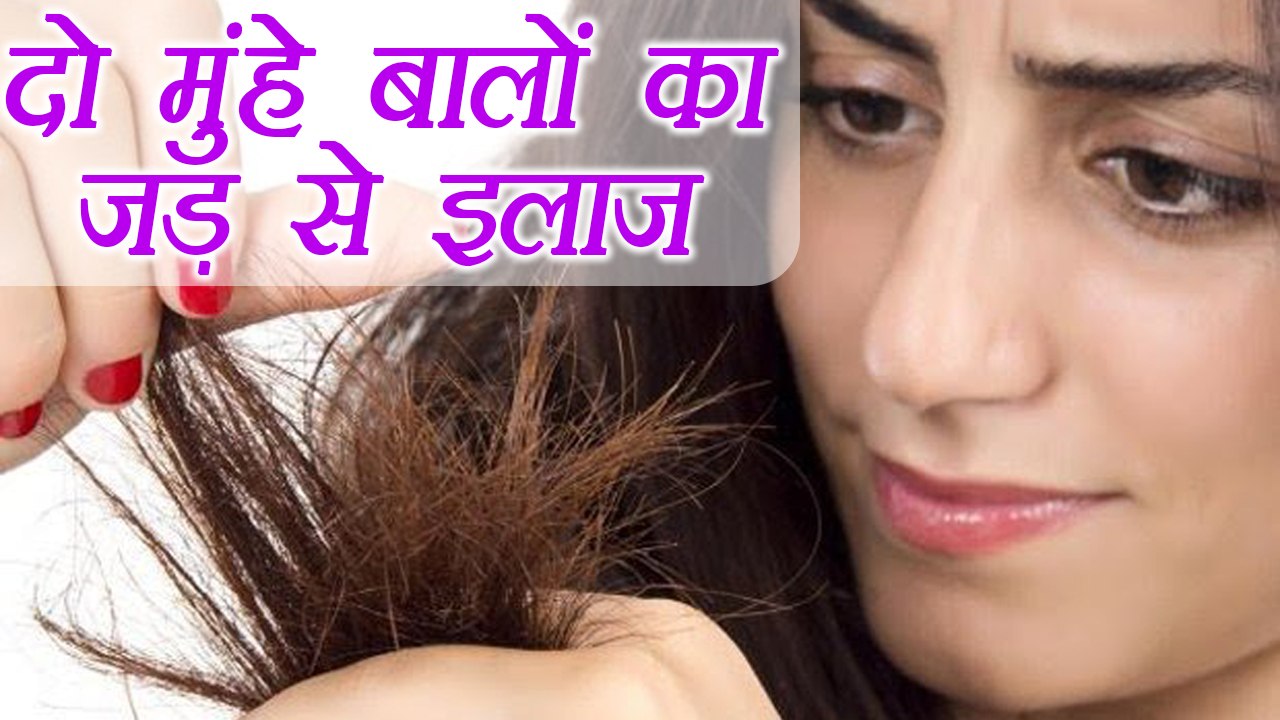 दो मुंहे बालों की समस्या ख़त्म करेंगे ये उपाय |Cure Split hairs problem EASILY | Home Remedy| Boldsky