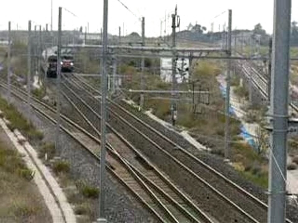 TEOZ ET CORAIL REDESSAN