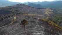 İzmir'deki Orman Yangını Havadan Görüntülendi! 500 Hektar Alan Kül Oldu