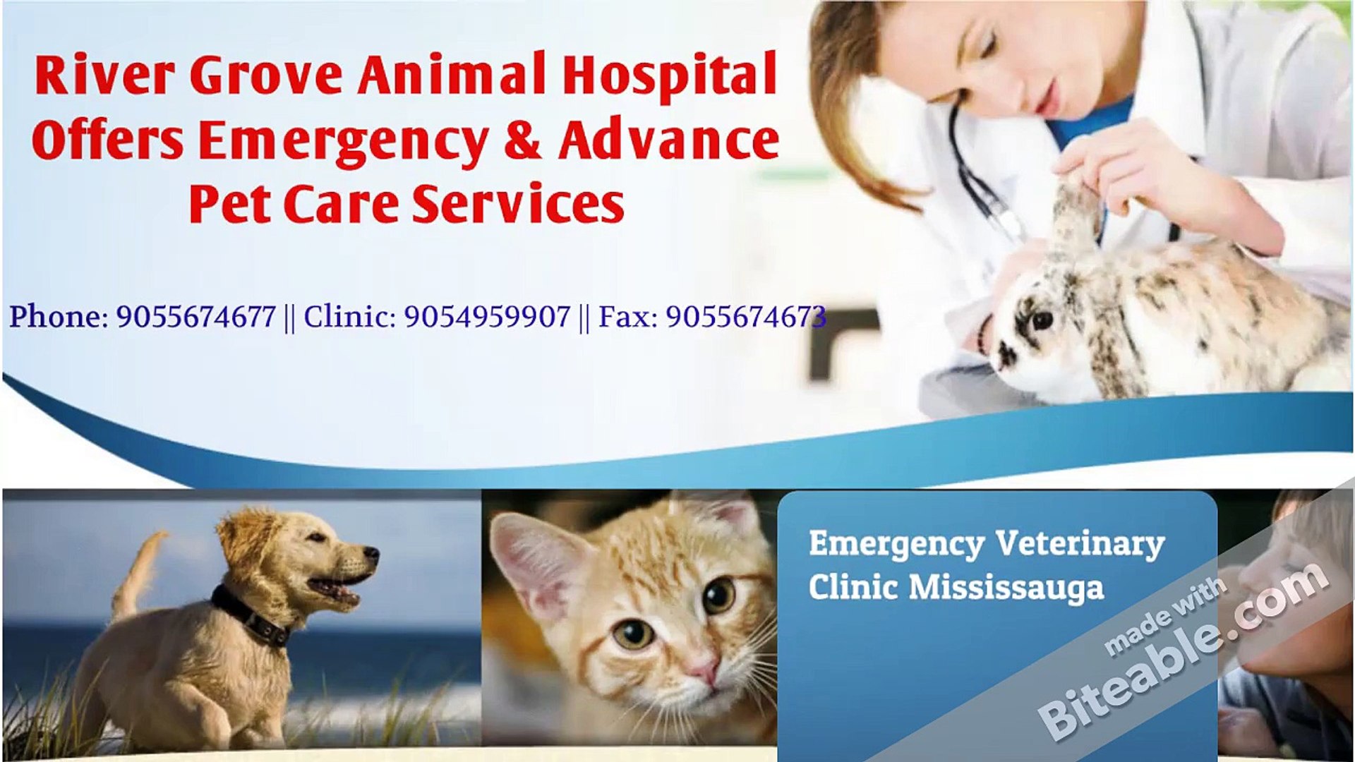 ⁣Advanced Veterinary Clinic Mississauga