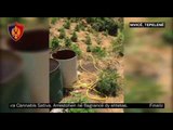 Operacioni antikanabis, arrestohen dy persona - Top Channel Albania - News - Lajme