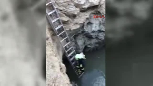Denizli Kuyuya Düşen Tilkiyi Itfaiye Kurtardı