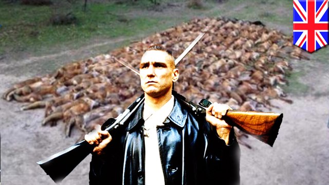 วินนี่ โจนส์ ไม่ได้ทำ ซากจิ้งจอก 100 ตัวมาจากแฮกเกอร์