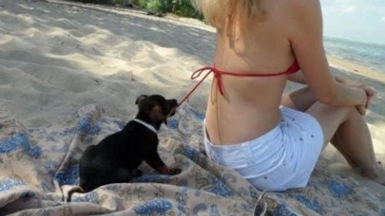 Whatsapp Some Hot Funny Videos 2017 Funny Pranks Compilation Try Not To Laugh Challenge
