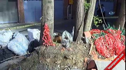 İstanbul'da vahşet