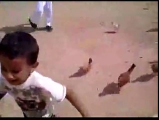 KID GETS CHASED BY DOZENS OF CHICKENS