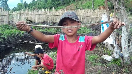 Theo chân các em dân tộc Mạ bắt Rắn và đùa chơi với chúng - Children catch snakes