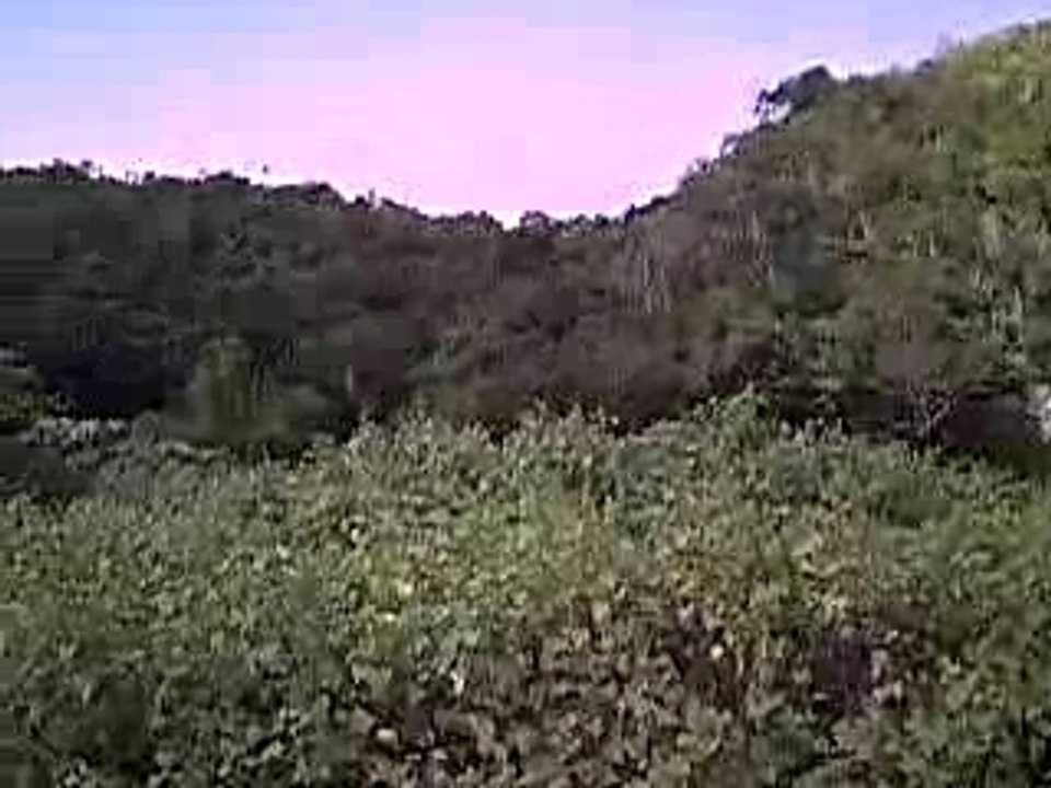 Voyage bayahibe oasis canoa 15 au 22.10.07