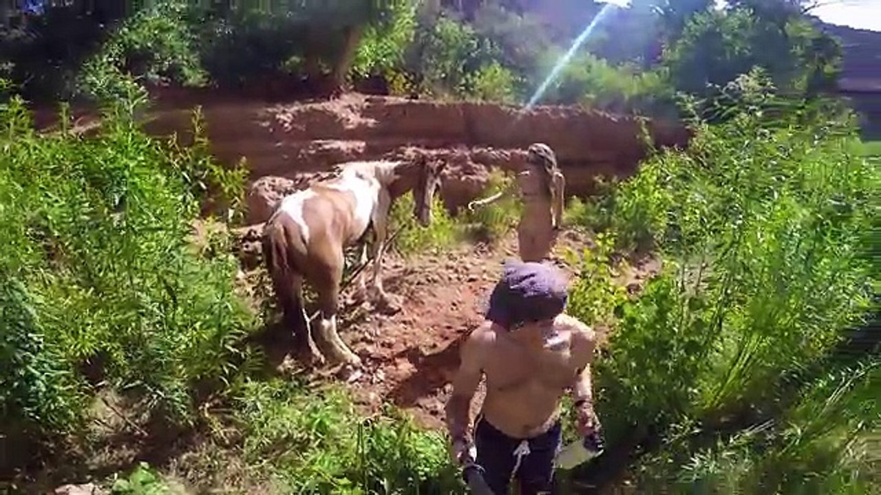Exploring Havasupai - PART 1