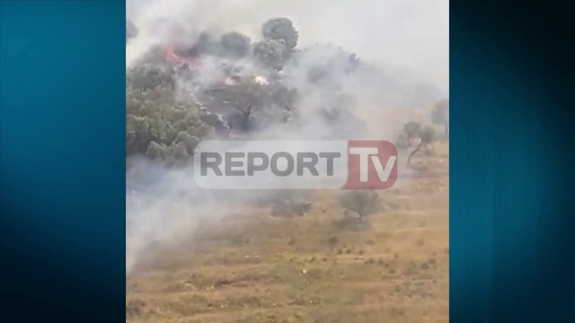 Report TV - Krujë, zjarr i madh në lagjen Meçe, rrezikohen disa banesa