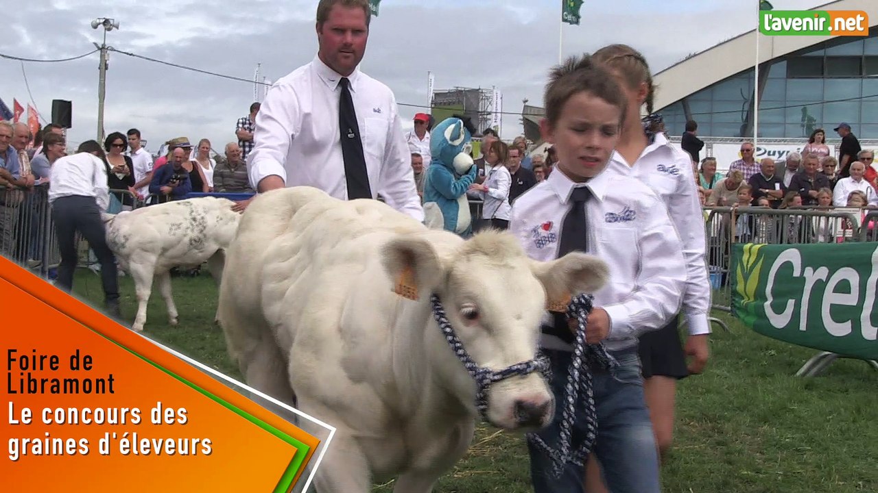 L'Avenir -  Coup de cœur de la foire : le concours des graines d'éleveurs