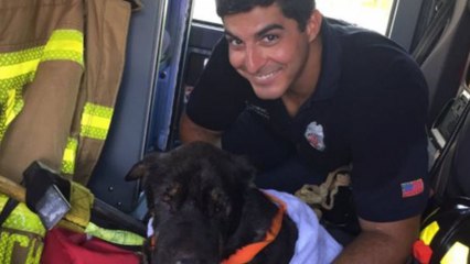 Download Video: Heroic firefighter rescues dog from drowning