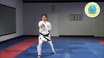 Heian Sandan - International Hayashi-Ha Shito-Ryu