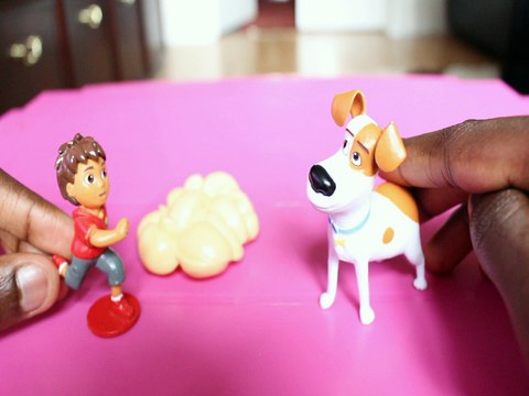 MAX PRETENDS TO BE ILL DIEGO DORA THE EXPLORER THE SECRET LIFE OF PETS Toys BABY Videos