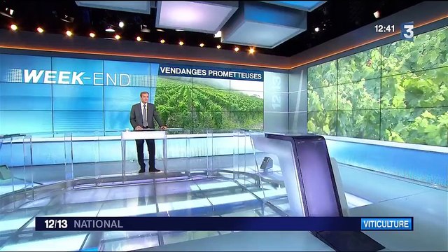 Savoie : vendanges prometteuses