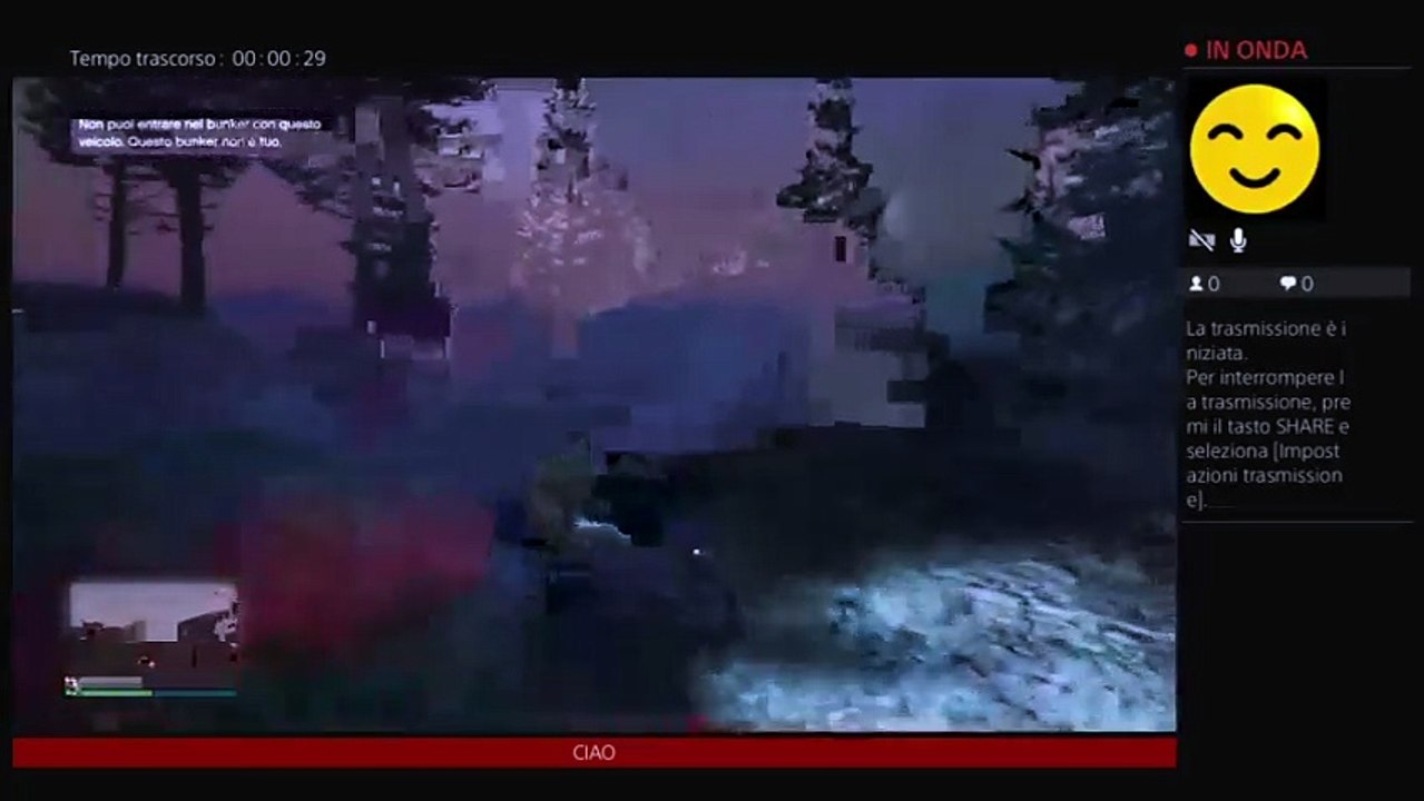 GTA 5 online (2)