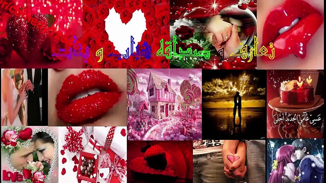 اغرب حيوان في العالم بأرجل حمار وحشي و رأس زرافة و جسم حصان