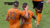 All Goals & highlights - Wolves 1-0 Leicester City  - 29.07.2017 ᴴᴰ