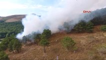Sinop'ta Orman Yangını