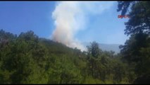 Balıkesir'in Sındırgı Ilçesi'nde Çıkan Orman Yangınında 7 Hektar Alan Yandı