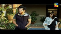 Woh Aik Pal Episode 20 HUM TV Drama - 29 July 2017