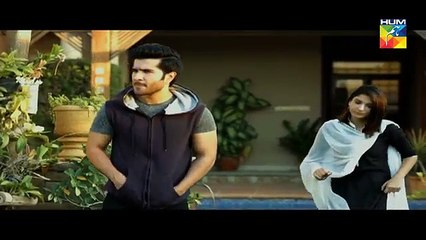 Woh Aik Pal Episode 20 HUM TV Drama - 29 July 2017
