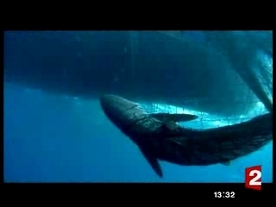 lemonde.fr : Télézapping du 25 10 07